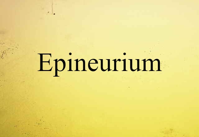 Epineurium (noun) Definition, Meaning & Examples