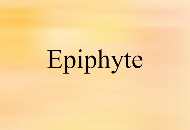 epiphyte