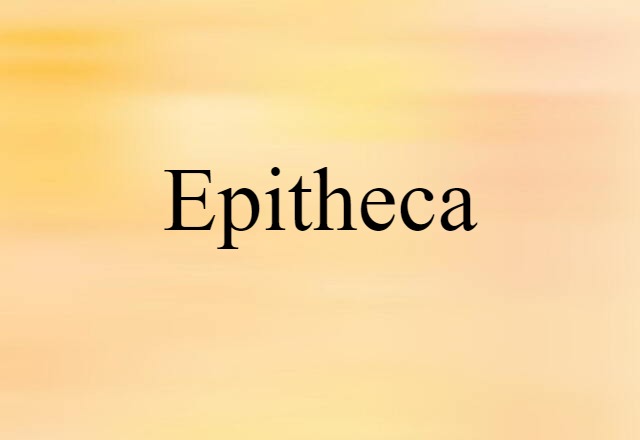 Epitheca (noun) Definition, Meaning & Examples