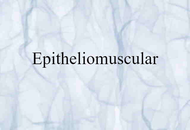 epitheliomuscular