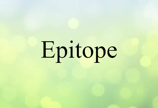 Epitope (noun) Definition, Meaning & Examples