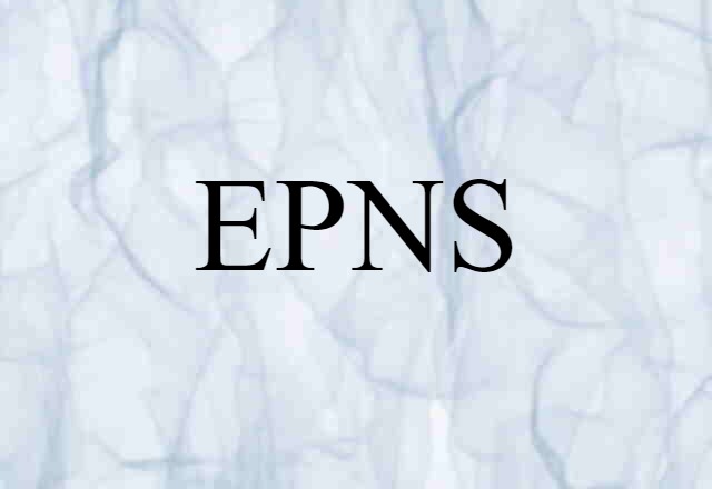 EPNS (noun) Definition, Meaning & Examples