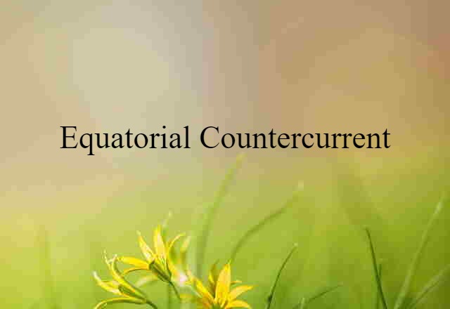 Equatorial Countercurrent (noun) Definition, Meaning & Examples