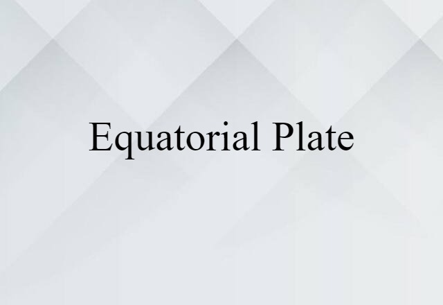 Equatorial Plate (noun) Definition, Meaning & Examples