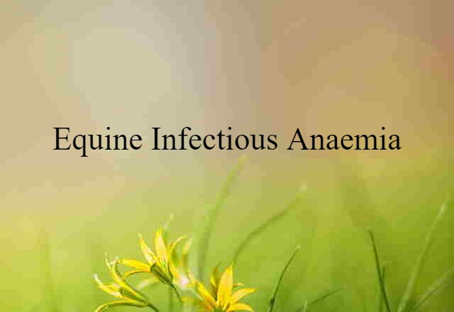 equine infectious anaemia