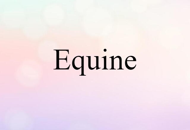 Equine (noun) Definition, Meaning & Examples