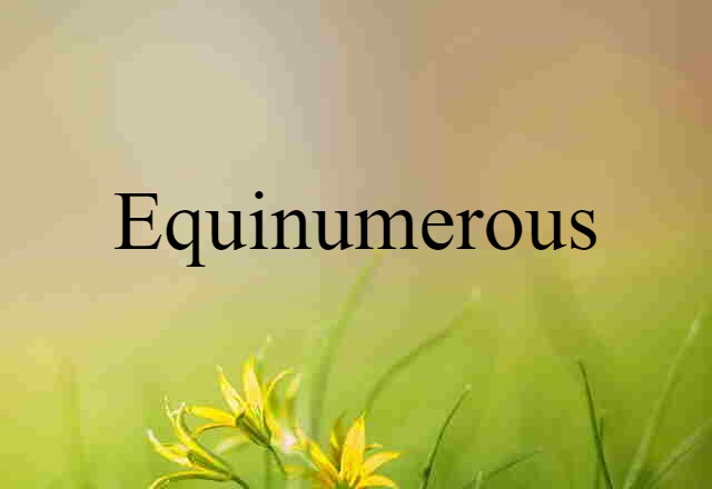 equinumerous