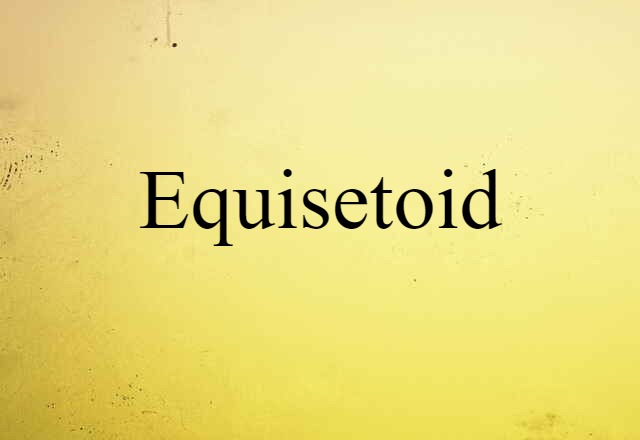 Equisetoid (noun) Definition, Meaning & Examples