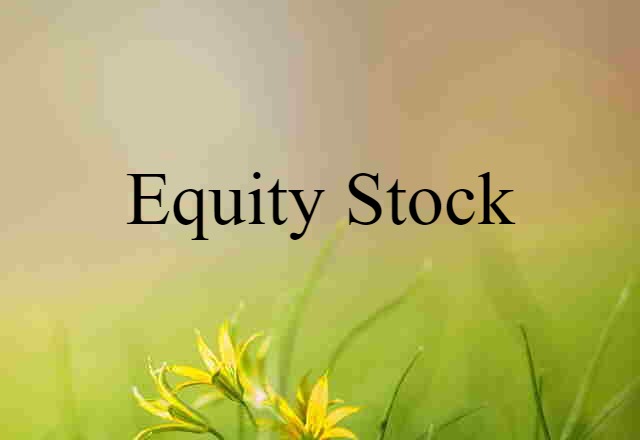 equity stock