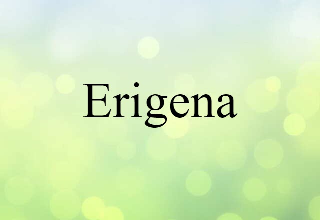 Erigena