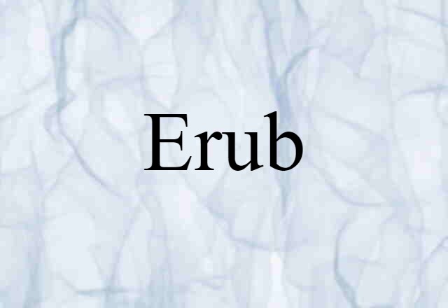 Erub (noun) Definition, Meaning & Examples