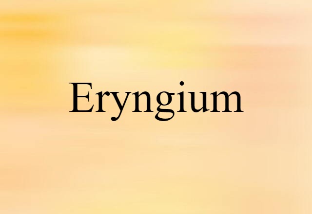 eryngium