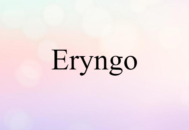 Eryngo (noun) Definition, Meaning & Examples