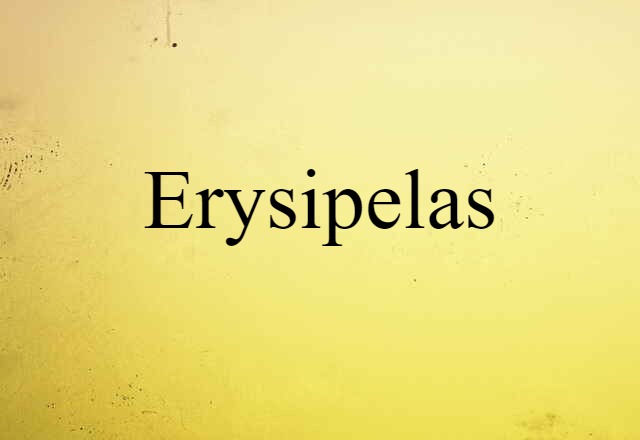 Erysipelas (noun) Definition, Meaning & Examples