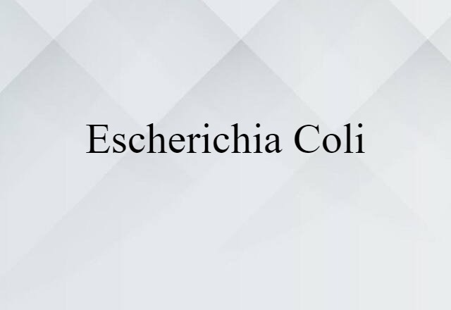 Escherichia Coli (noun) Definition, Meaning & Examples