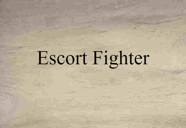 escort fighter