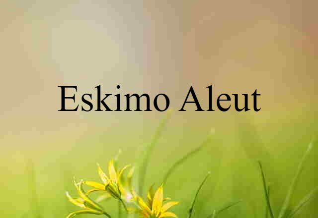 Eskimo Aleut