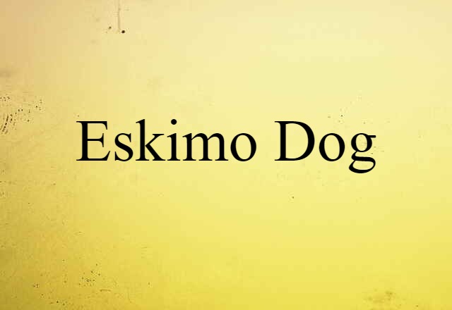 Eskimo dog