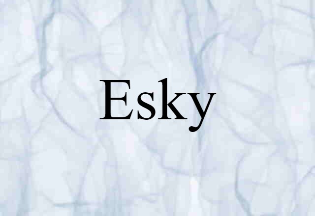 Esky (noun) Definition, Meaning & Examples