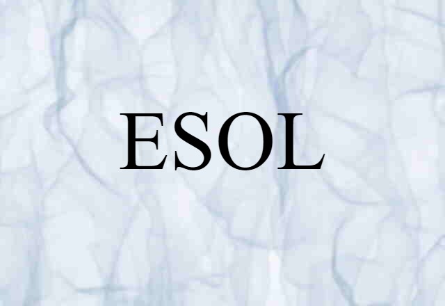 ESOL (noun) Definition, Meaning & Examples