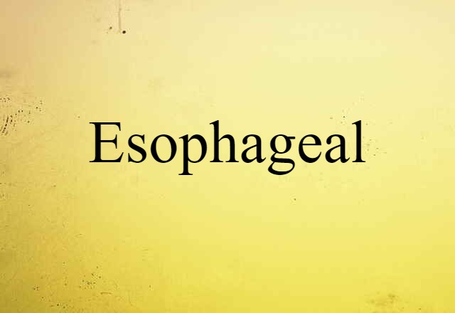 Esophageal (noun) Definition, Meaning & Examples