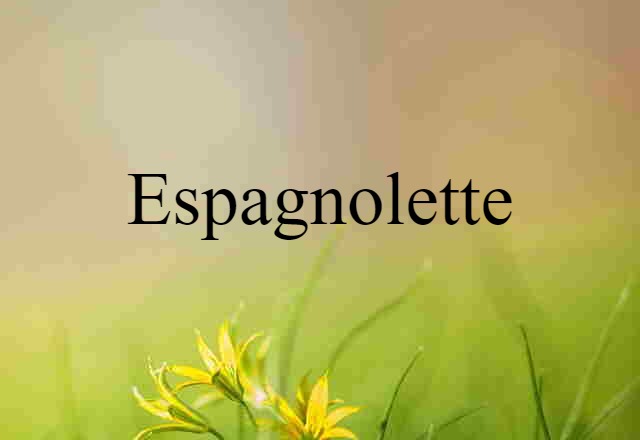 Espagnolette (noun) Definition, Meaning & Examples