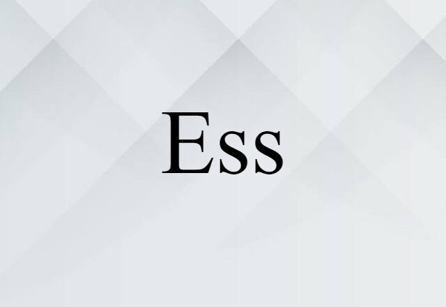 Ess (noun) Definition, Meaning & Examples