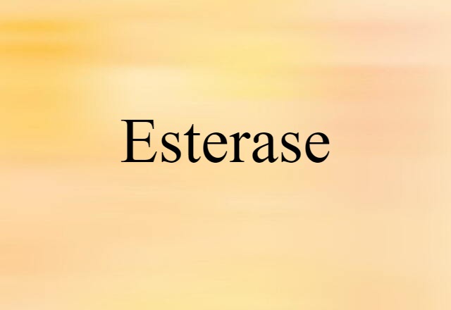 Esterase (noun) Definition, Meaning & Examples