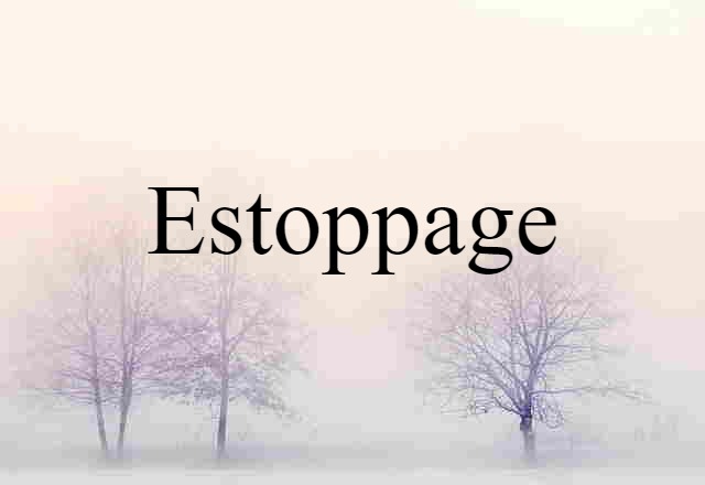 Estoppage (noun) Definition, Meaning & Examples