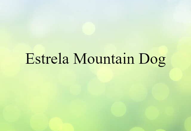 Estrela Mountain Dog (noun) Definition, Meaning & Examples