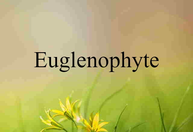 euglenophyte