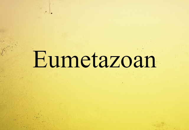 Eumetazoan (noun) Definition, Meaning & Examples