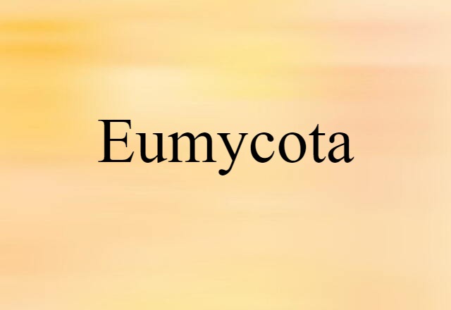 Eumycota (noun) Definition, Meaning & Examples