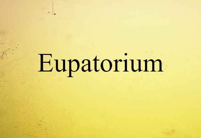 eupatorium