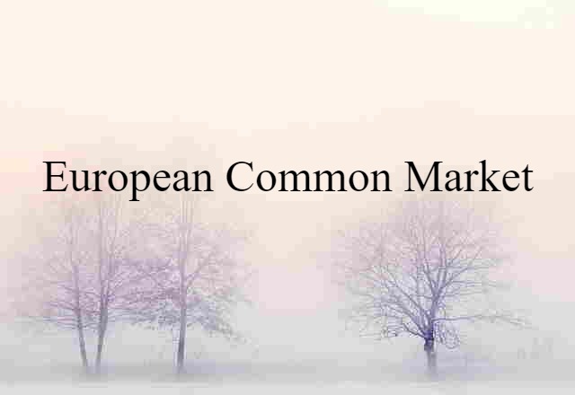 European Common Market