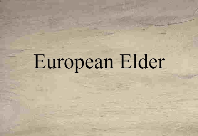 European elder