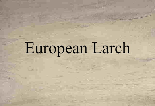 European larch