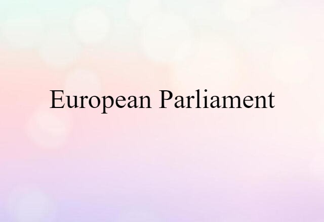 European Parliament (noun) Definition, Meaning & Examples