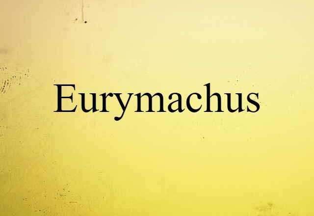 Eurymachus (noun) Definition, Meaning & Examples