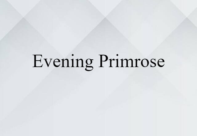 Evening Primrose (noun) Definition, Meaning & Examples