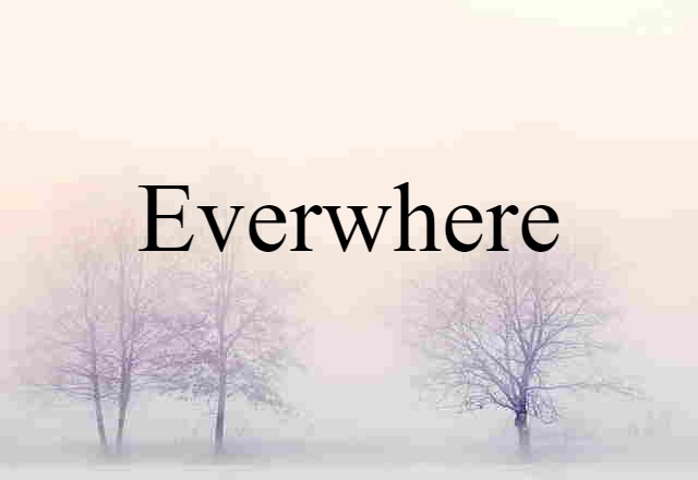 Everwhere (noun) Definition, Meaning & Examples