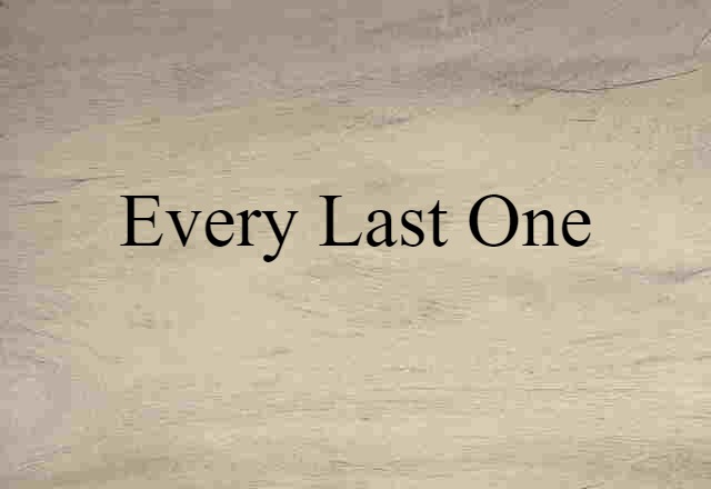 Every Last One (noun) Definition, Meaning & Examples