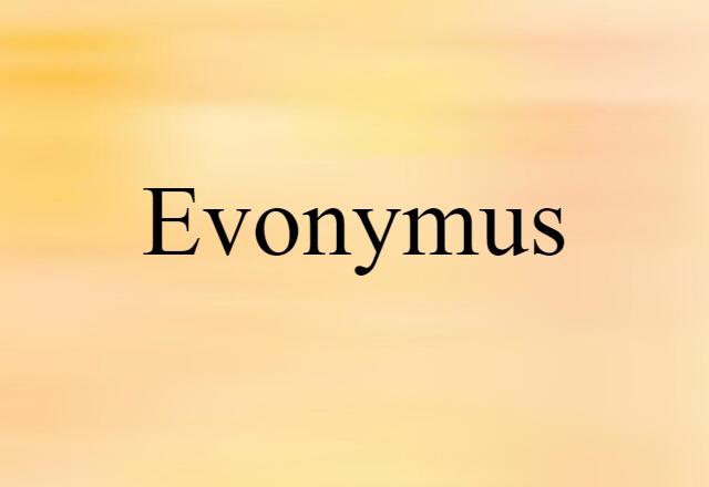 evonymus