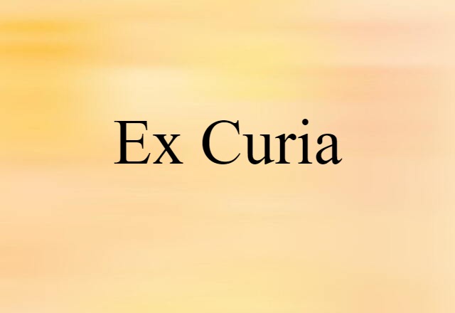 Ex Curia (noun) Definition, Meaning & Examples