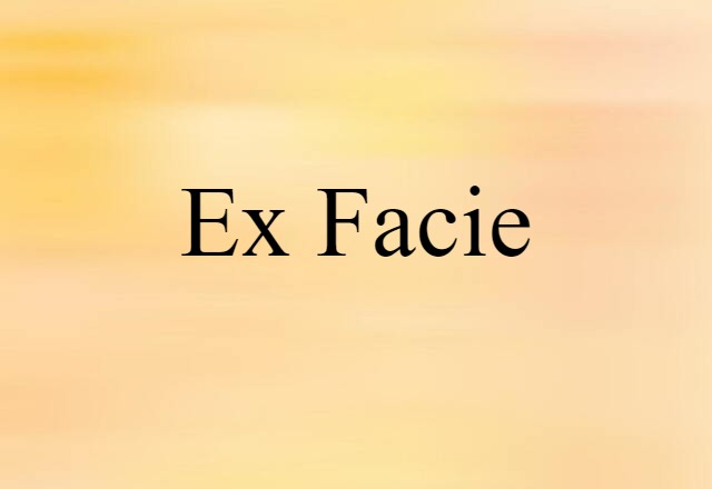 Ex Facie (noun) Definition, Meaning & Examples