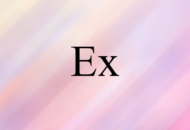 Ex (noun) Definition, Meaning & Examples