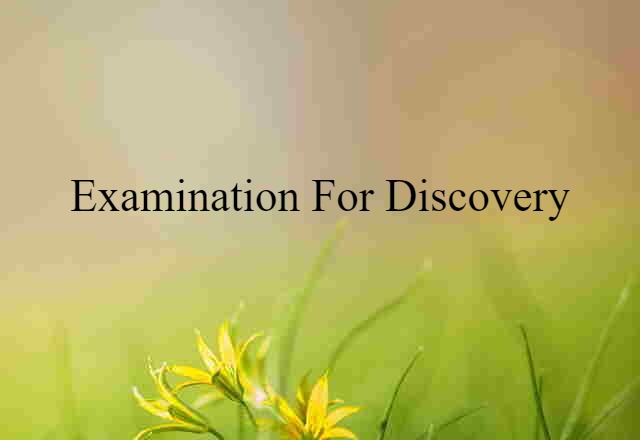 Examination For Discovery (noun) Definition, Meaning & Examples