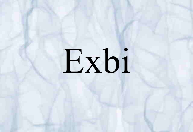 Exbi (noun) Definition, Meaning & Examples