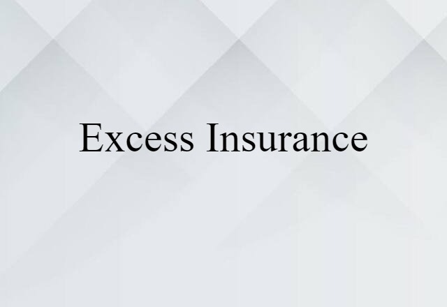 Excess Insurance (noun) Definition, Meaning & Examples