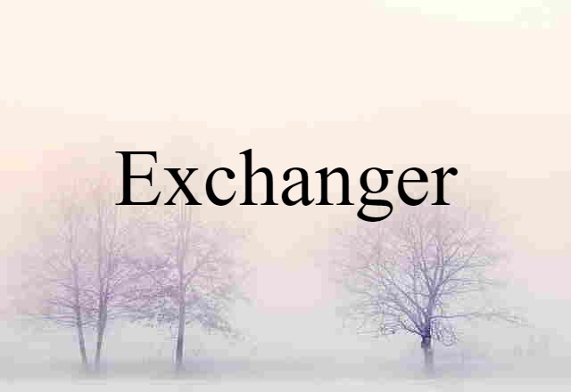 Exchanger (noun) Definition, Meaning & Examples